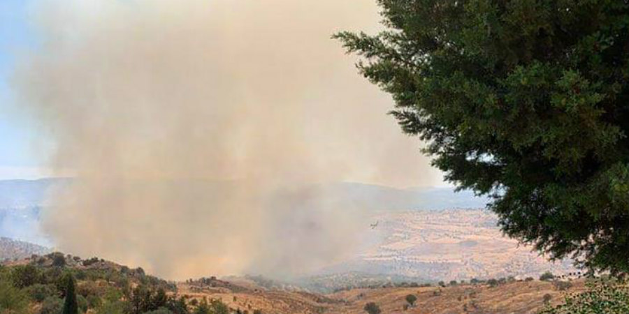 Υπό πλήρη έλεγχο δασική πυρκαγιά στην κοινότητα Φάσλι της Πάφου